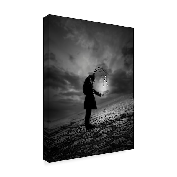 David Senechal Photographie 'The Reader Abstract' Canvas Art,35x47